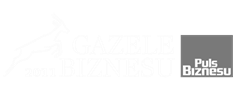 gazele biznesu 2011